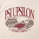 Psi Upsilon Stadium Illustration Homecoming Hoodie