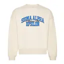 Sigma Alpha Epsilon Block Lettering Game Day Crewneck 2