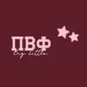 Pi Beta Phi Heart Pattern Stars and Block Text Big Little Reveal Hoodie
