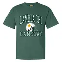 Lambda Chi Alpha Football Helmet Design Game Day Shirt 2