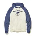 Beta Theta Pi Sailboat Graphic Philanthropy Hoodie 2