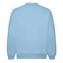Photo for FP94-ICEBLUE (Back)