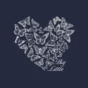 Alpha Chi Omega Butterfly Heart Big Little Reveal Sweater