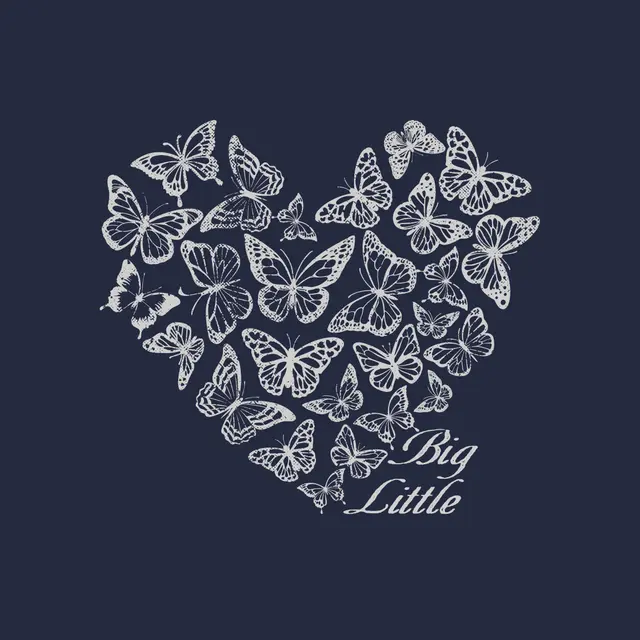 Alpha Chi Omega Butterfly Heart Big Little Reveal Sweater