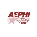 Alpha Epsilon Phi Star and Script Date Party Hoodie