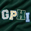 Gamma Phi Bold Lettering PR Shorts