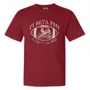 Pi Beta Phi Floral Deer Design Game Day Shirt 2