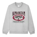 Alpha Delta Pi Vintage Stadium Homecoming Sweater 2