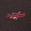 Alpha Omicron Pi Leopard Pattern Script and Star Graphic Recruitment Hoodie