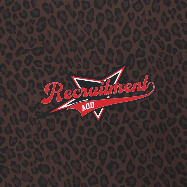 Alpha Omicron Pi Leopard Pattern Script and Star Graphic Recruitment Hoodie