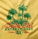 Delta Chi Palm Trees Retreat Shirt