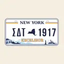 Sigma Delta Tau New York License Plate PR Hoodie