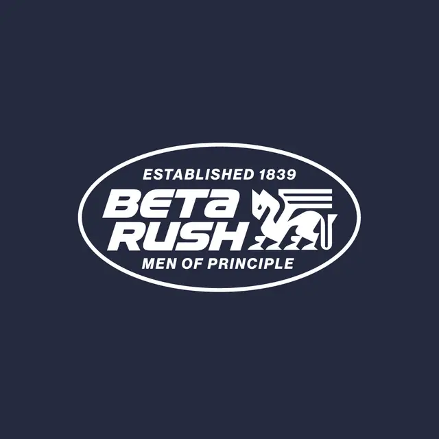 Beta Theta Pi Pegasus Graphic Rush Hoodie