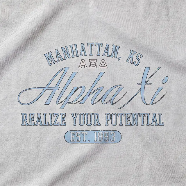 Alpha Xi Delta Script Lettering and Block Text PR Sweater