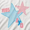 Alpha Chi Omega Alpha Chi Omega Checkered or Line Pattern on Stars in Blue and Pink Design for Sorority 