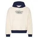 Alpha Chi Omega Script and Outline Serif Texts Philanthropy Hoodie 2