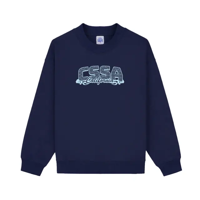 Chinese Students and Scholars Association Wave Graphic PR Sweater 2