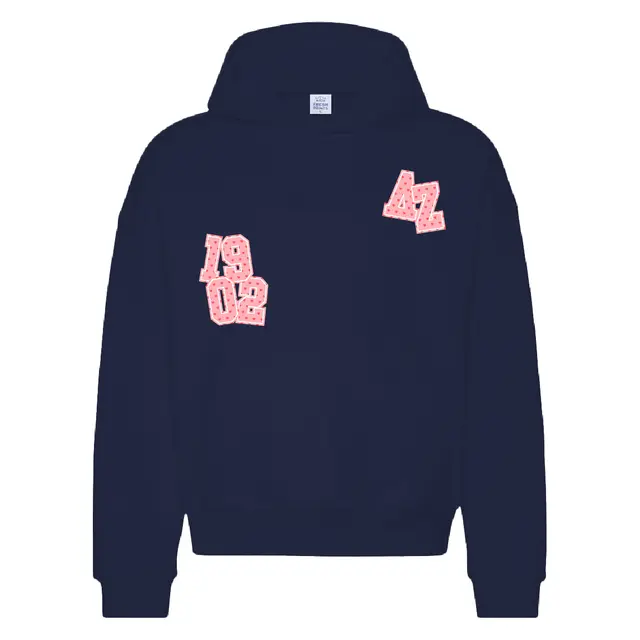 Delta Zeta Greek Letters and Numbers with Heart Pattern PR Hoodie 2