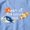 Alpha Xi Delta Colorful Fish and Star Design Big Little Reveal Tank
