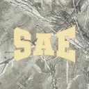 Sigma Alpha Epsilon Bold Arch Text PR Hoodie