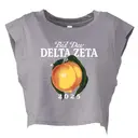 Delta Zeta Peach Illustration Bid Day Shirt 2