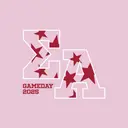 Sigma Alpha Star Pattern Game Day Hoodie
