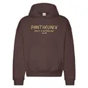 Sci-Fi & Mythology Club Pantheonix Rustic Text PR Hoodie 2