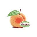 Delta Gamma Peach Graphic Recruitment Shirt