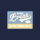Alpha Omicron Pi Flowing Script Spring Break Hoodie