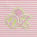 Delta Zeta Striped Design PR Shorts