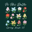 Pi Phi Delta Floral Grid Spring Rush Shirt