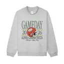 Alpha Gamma Delta Football Helmet Game Day Sweater 2