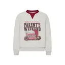 Chi Psi Ice Chest Illustration Parents Weekend Sweater 2