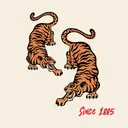 Theta Tiger Graphic with Bold Lettering PR Hoodie