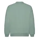 Photo for FP94-SAGE (Back)