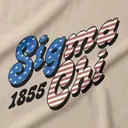 Sigma Chi Bold Lettering Patriotic Design Hoodie