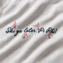 Pi Beta Phi Ski Illustration PR Sweater