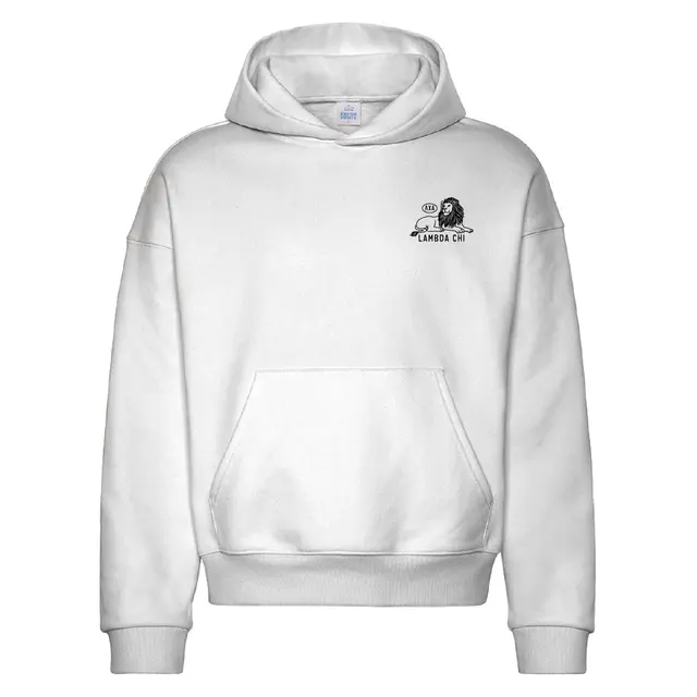 Lambda Chi Alpha Lion Graphic PR Hoodie-2