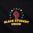 Black Student Union Raised Fist Circle Pattern PR Hoodie