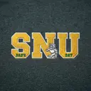 Sigma Nu Block Lettering Mascot Parents Weekend Hoodie