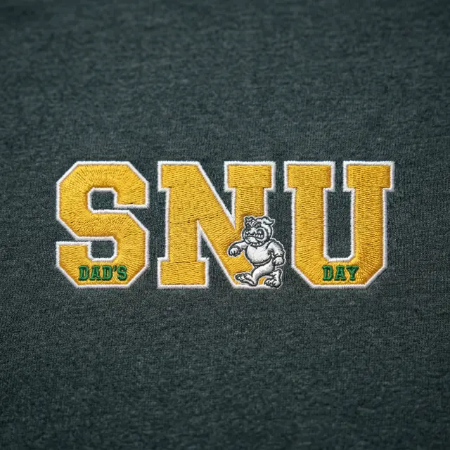 Sigma Nu Block Lettering Mascot Parents Weekend Hoodie