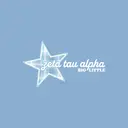 Zeta Tau Alpha Plaid Star Big Little Reveal Tank