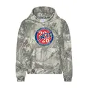 Alpha Epsilon Pi Circular Badge Rush Hoodie 2