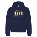 Alpha Phi Bold Arch Text PR Hoodie 2