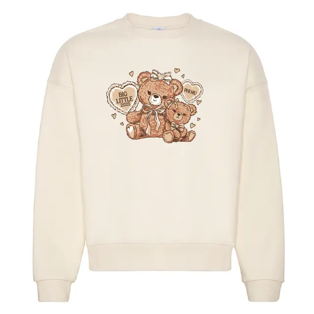 Phi Mu Adorable Teddy Bear Big Little Reveal Sweater 2