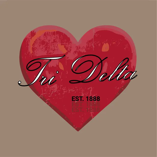 Delta Delta Delta Heart Leopard Print PR Hoodie