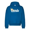Baseball Team Bold Script and Baseball Graphic PR Hoodie 2