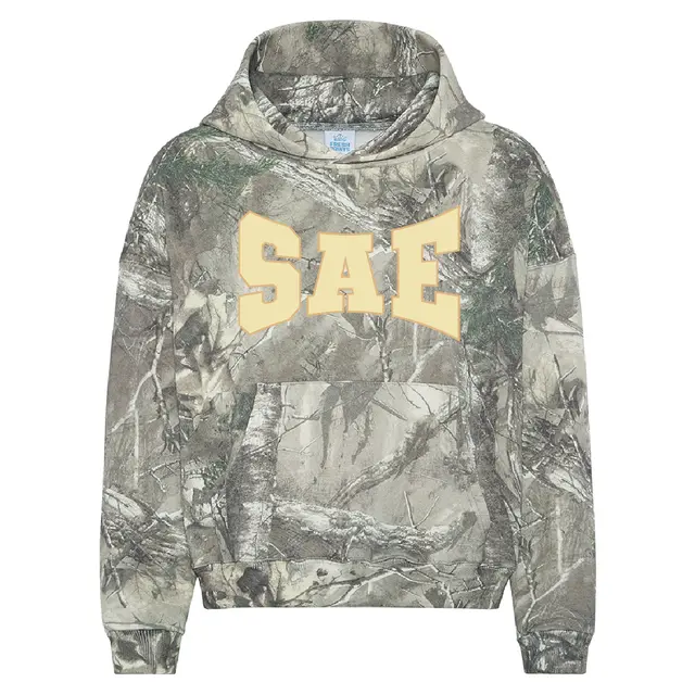 Sigma Alpha Epsilon Bold Arch Text PR Hoodie 2