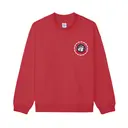 Model United Nations Globe Graphic PR Sweater 2