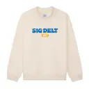 Sigma Delta Tau Colorful Star Graphics PR Sweater 2